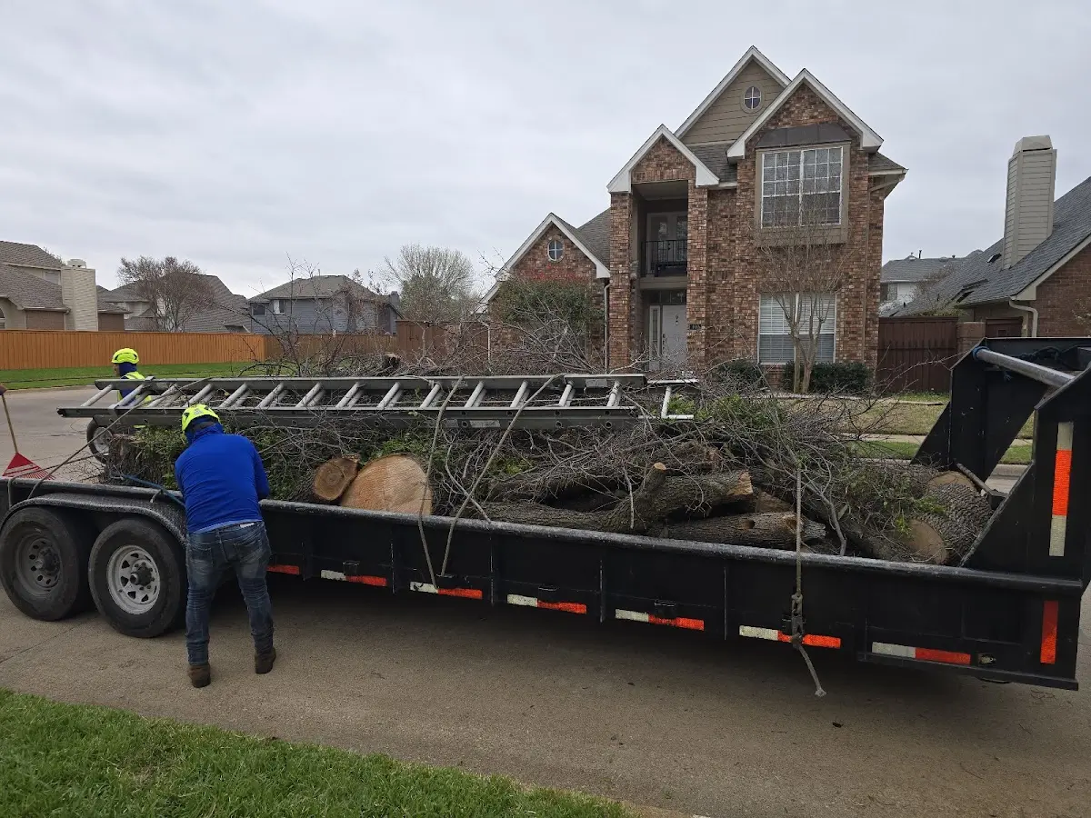 Expert Lot Clearing with proper safety equipment in Verner